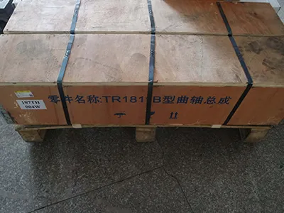 Conjunto do virabrequim